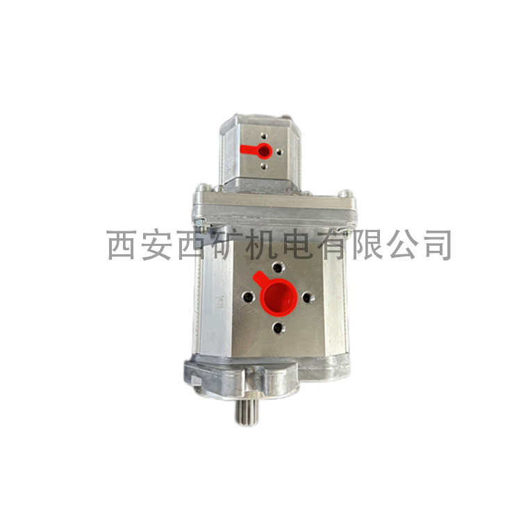 双联齿轮泵 R124-G25085DL54G